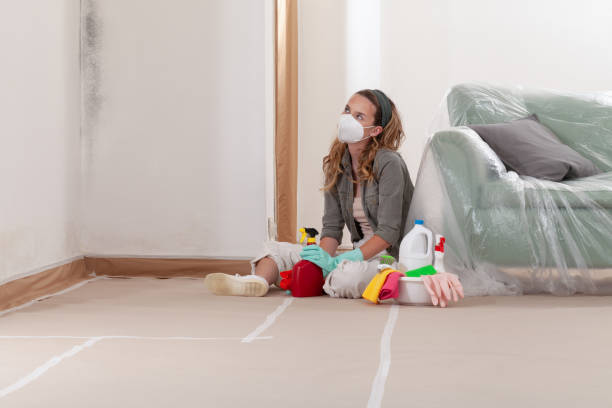 Reliable Mold Cleanup contractor in Belmont, NC by Cheap Mold Removal